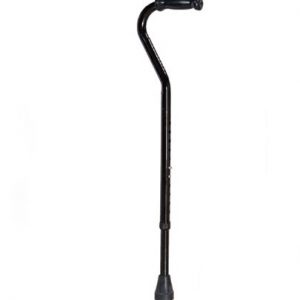 Walking Stick Single Point Bariatric